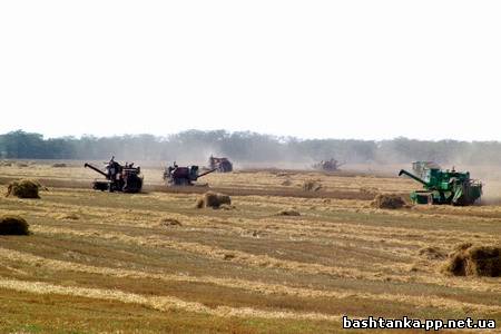 Полевой дневник. Корректировку внесли дожди