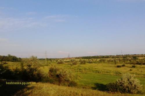 Панорама, фото, відео: за містом Баштанка (біля лісу, за птахофабрикою)