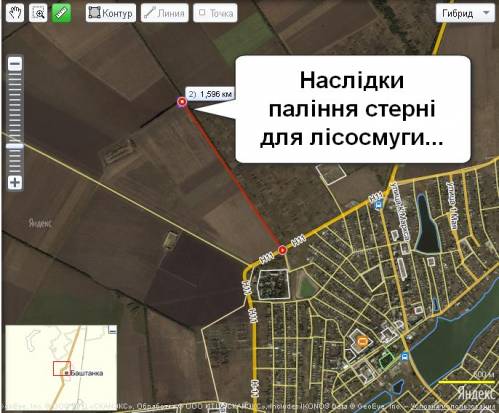 Відео, фото та карта: наслідки паління стерні для лісосмуги всього 1,6 км. від Баштанки