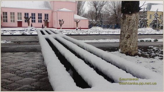 сніг, відео сніг, сніг в Баштанці, сніг весною