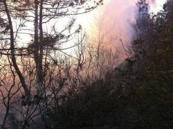 Пожежі на територіях Плющівської та Добренської сільських рад