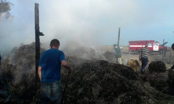 Пожежа у селі Плющівка»