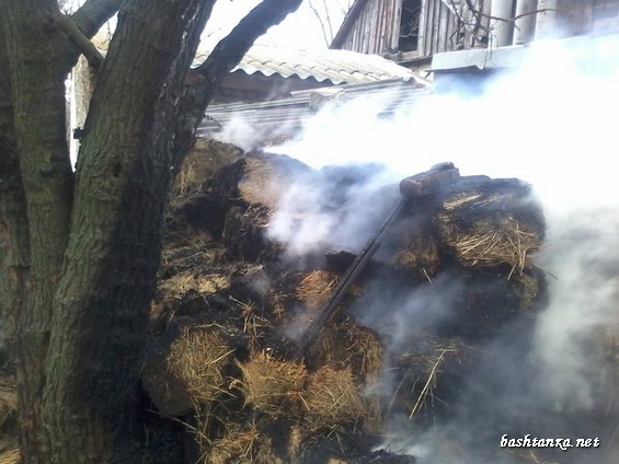 Пожежу у селі Плющівка ліквідовано»