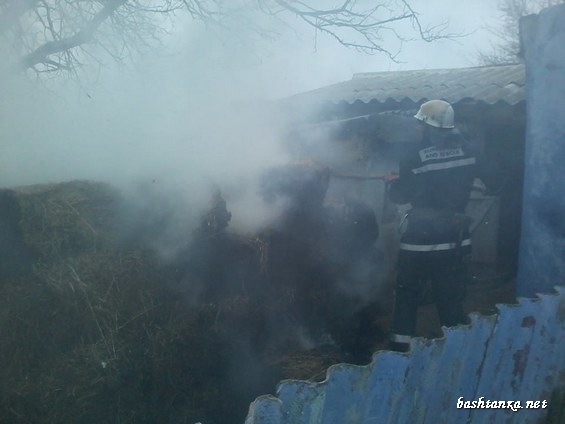 пожежа у селі Плющівка