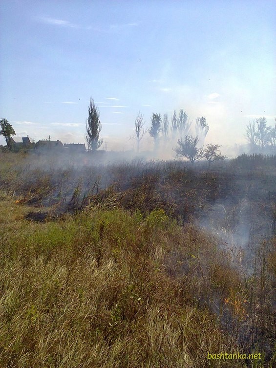 Щодня нова пожежа у Баштанському районі