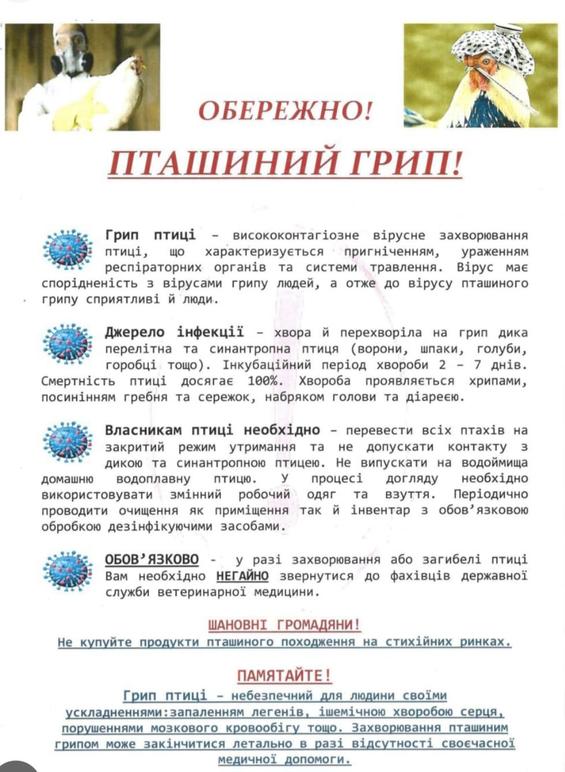 Зареєстровано випадок пташиного грипу у Софіївській громаді Баштанського району»