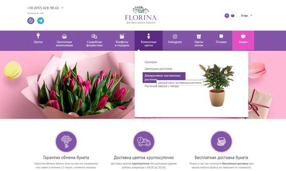 Зеленый оазис в каждый дом: доставка комнатных растений в Харькове»