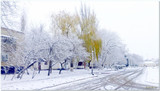 верба, зима в Баштанці, зимова погода